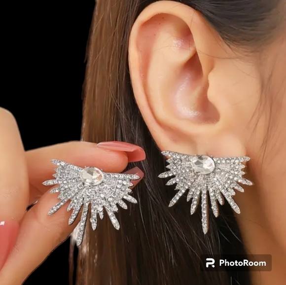 boutique me Jewelry - Nwt Wings Stardust Rhinestones Silvery Stud Earrings